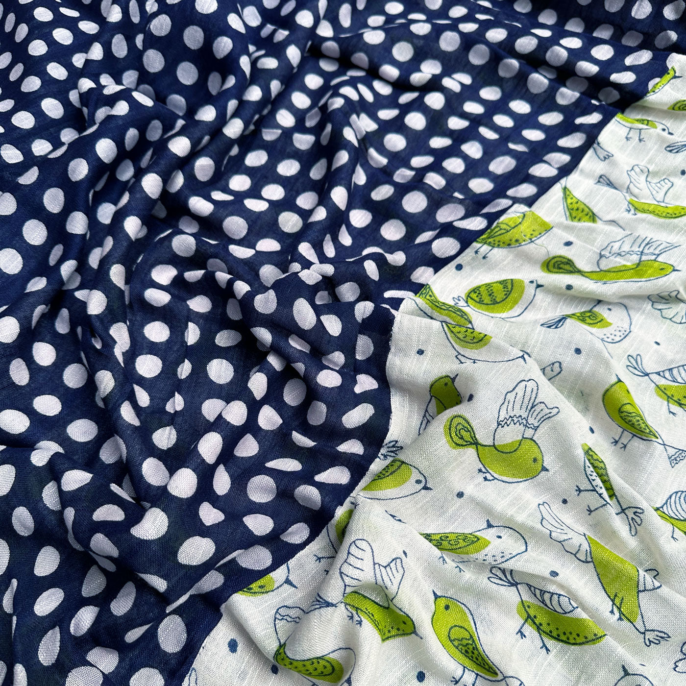 Green Jay Bird Cotton Saree