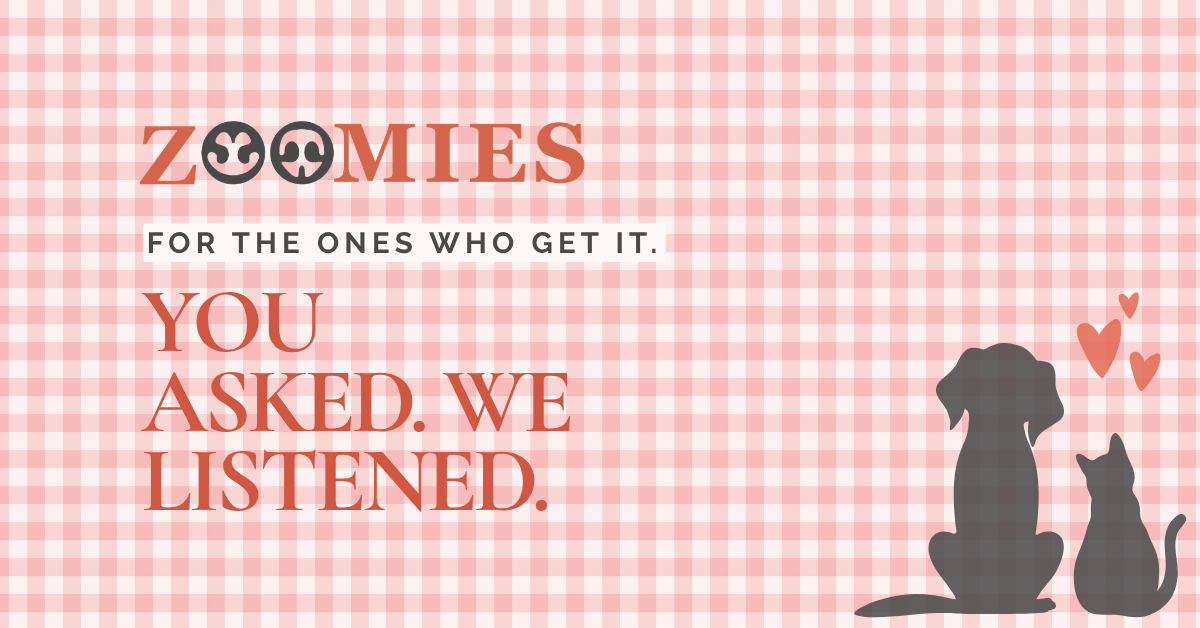 Zoomies-For-dog-and-cat-moms-sarees-for-the-one-who-get-it