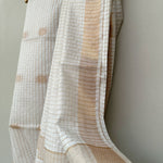 Load image into Gallery viewer, Praanjal Cotton Silk Saree
