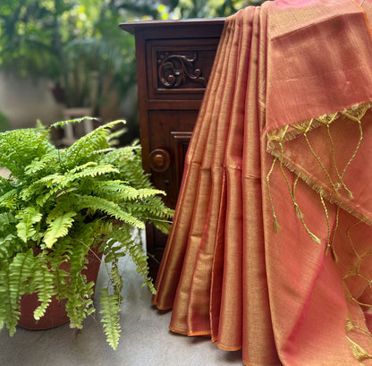 Raag Asaravi Mul Tissue Saree