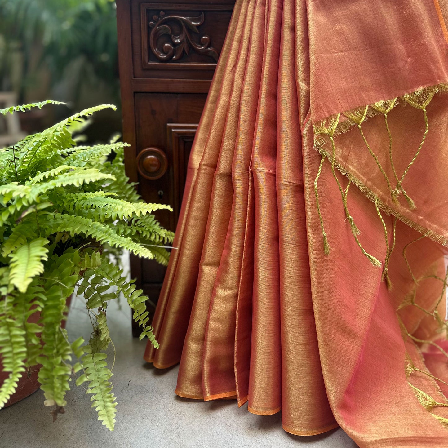 Raag Asaravi Mul Tissue Saree