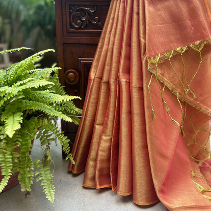 Raag Asaravi Mul Tissue Saree