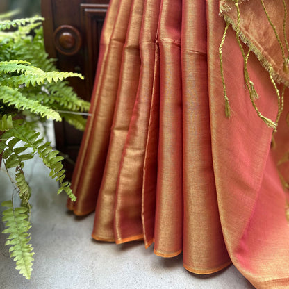 Raag Asaravi Mul Tissue Saree