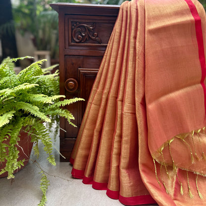 Raag Bilawal Mul Tissue Saree