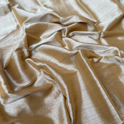 Raag Todi Mul Tissue Saree