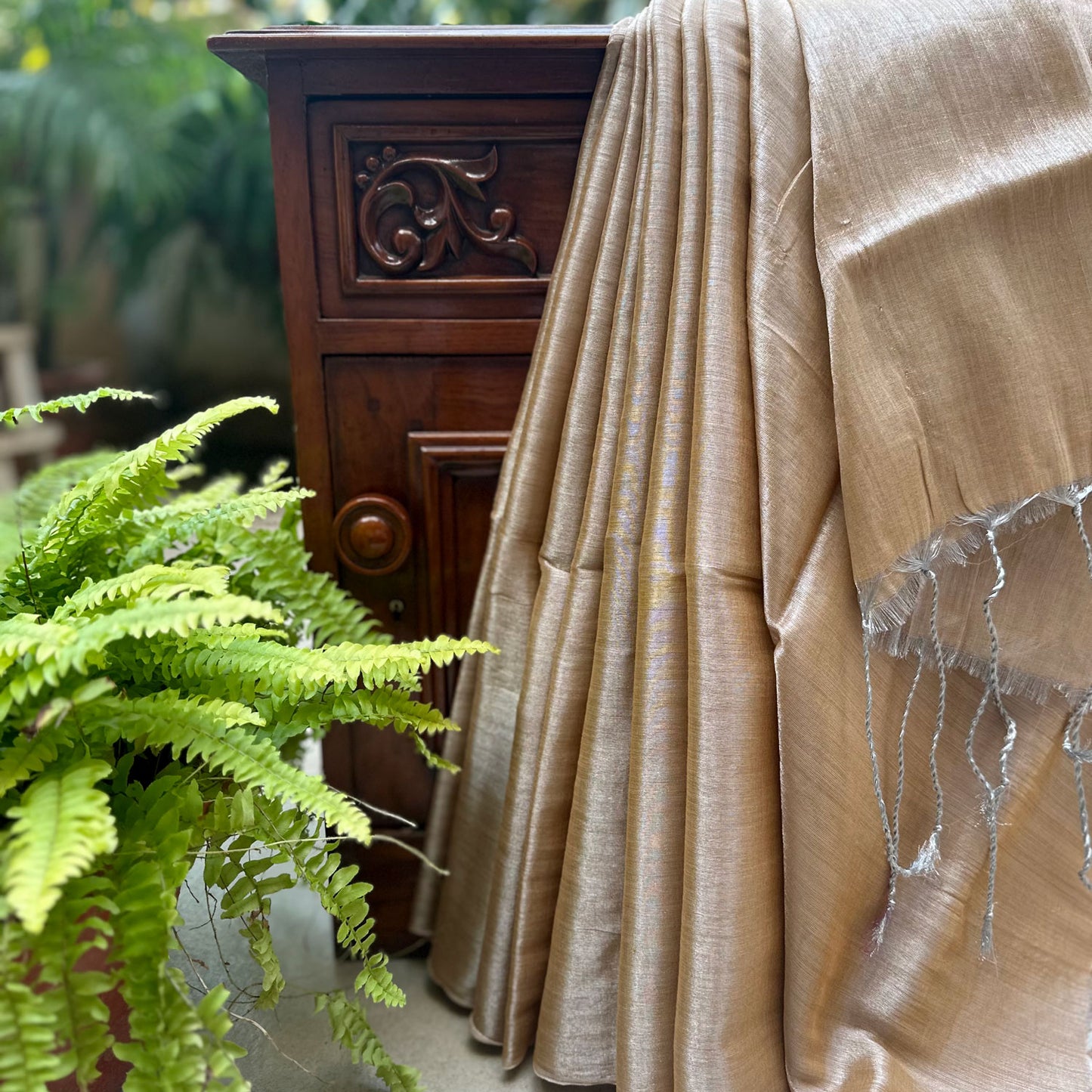 Raag Todi Mul Tissue Saree