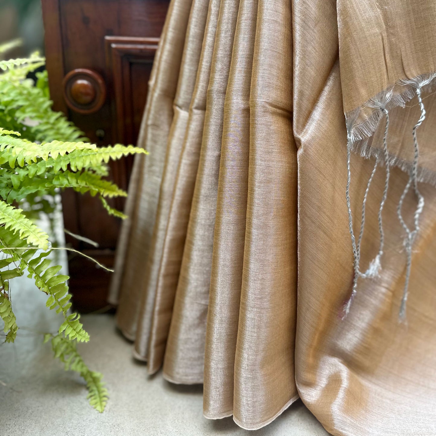 Raag Todi Mul Tissue Saree