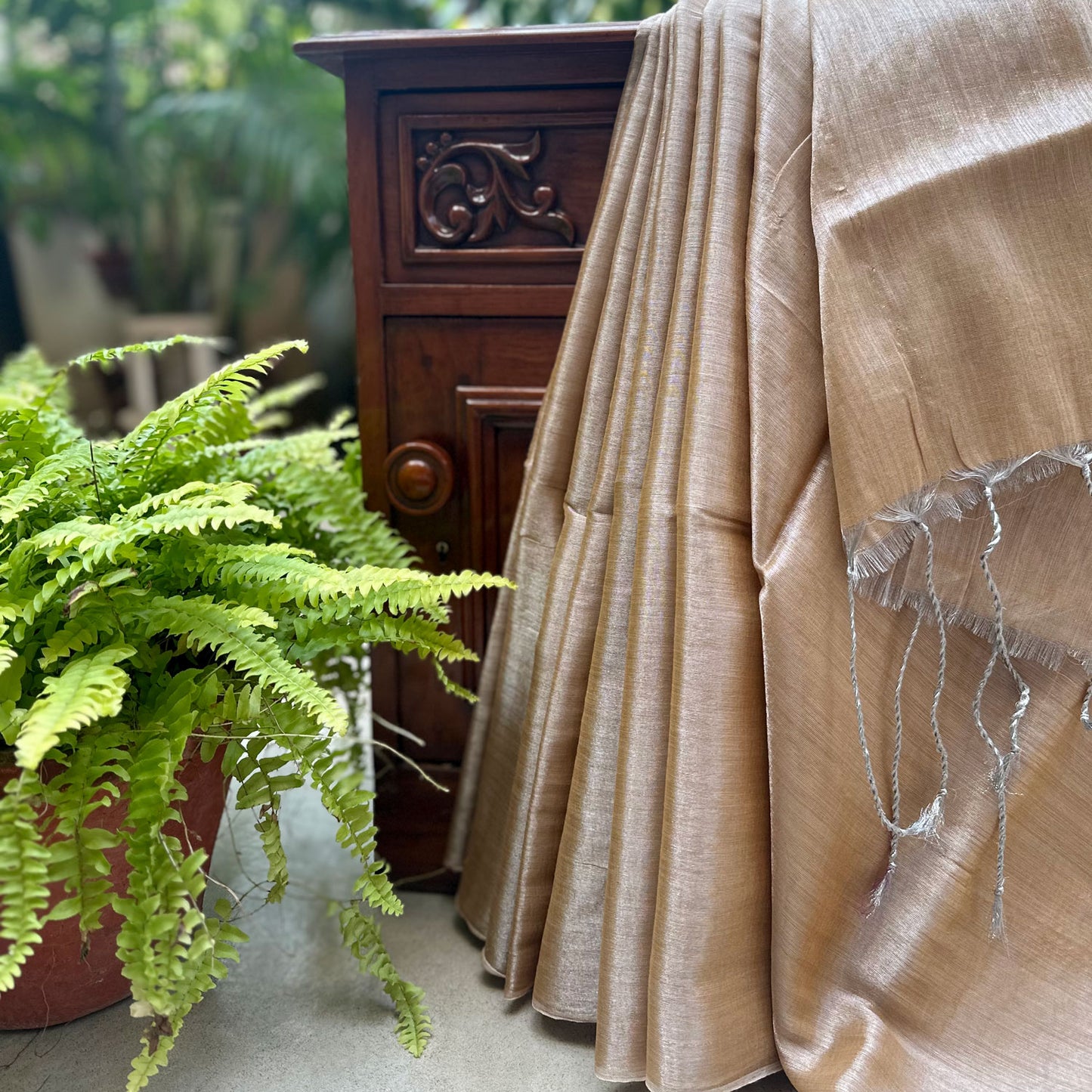 Raag Todi Mul Tissue Saree