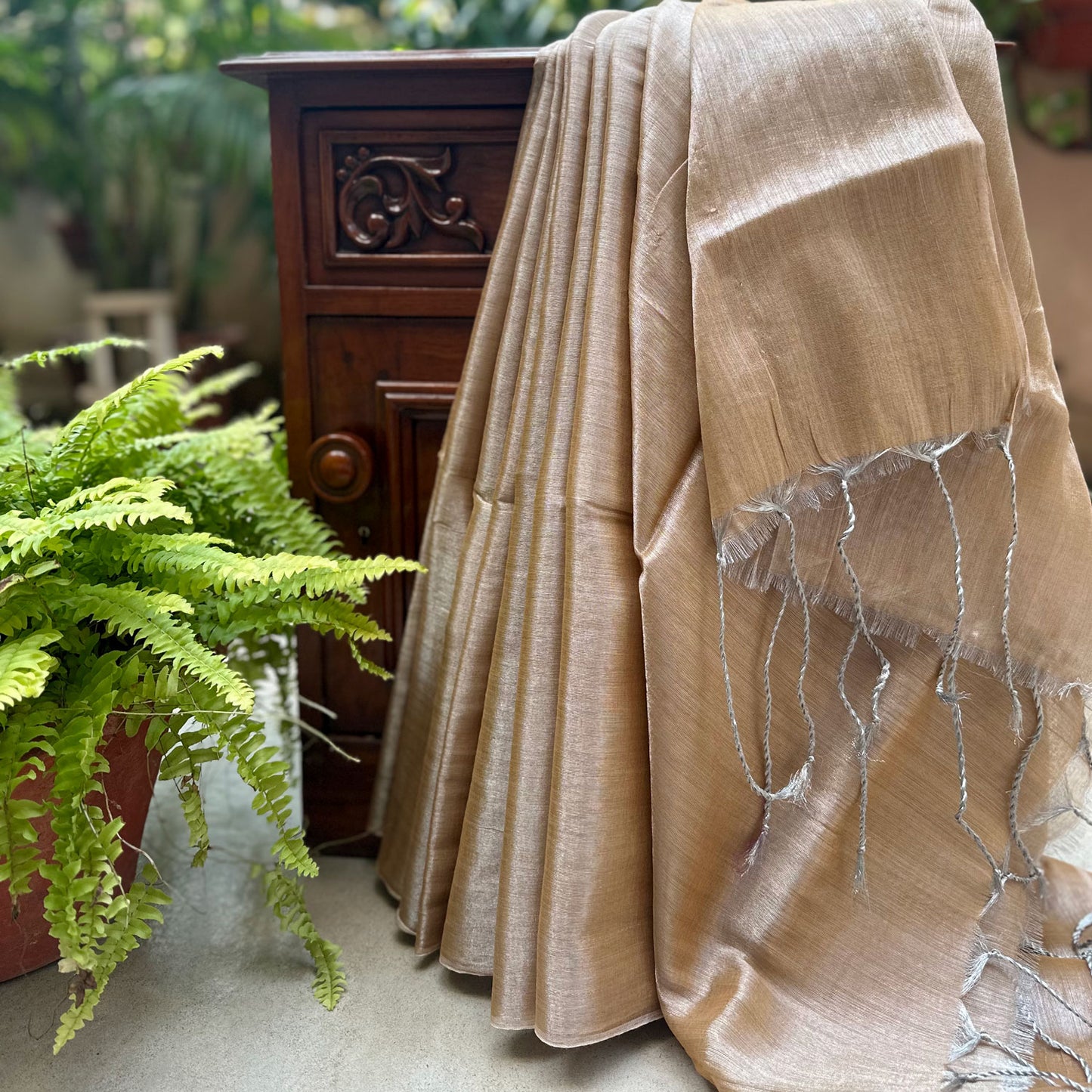 Raag Todi Mul Tissue Saree